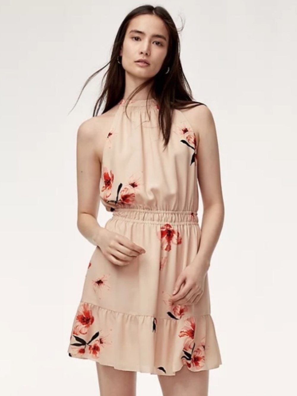 Aritzia Wilfred Effet Dress